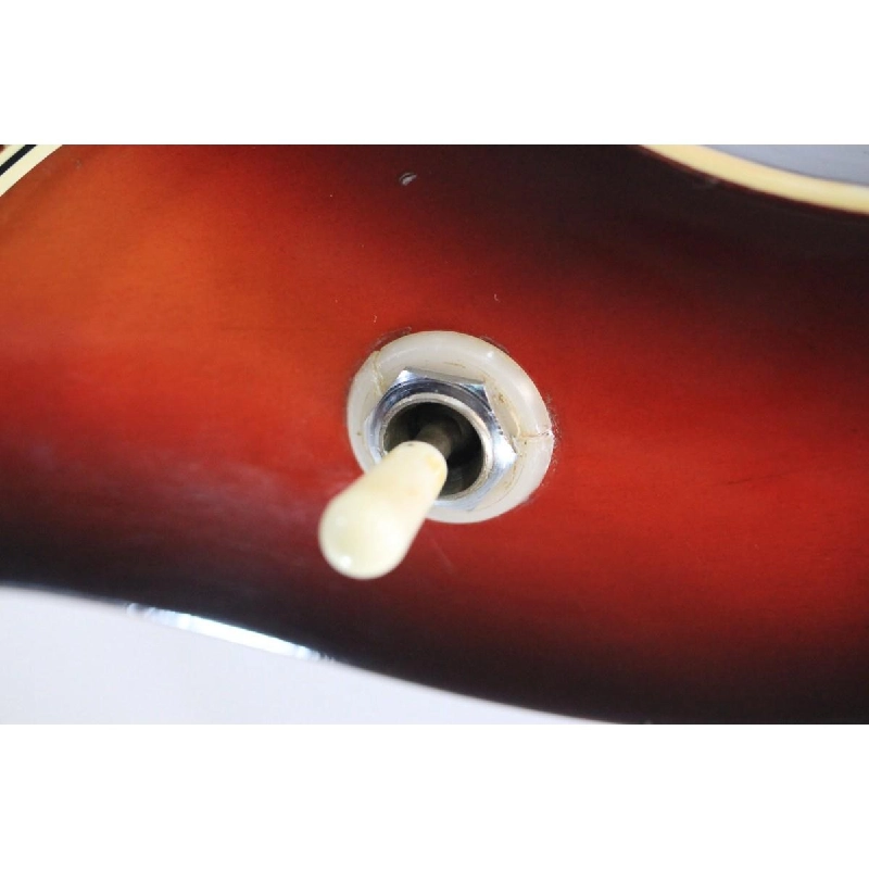 ＧＵＹＡＴＯＮＥ ＳＧ－２５Ｔ - Hàng hiệu Authentic 879175