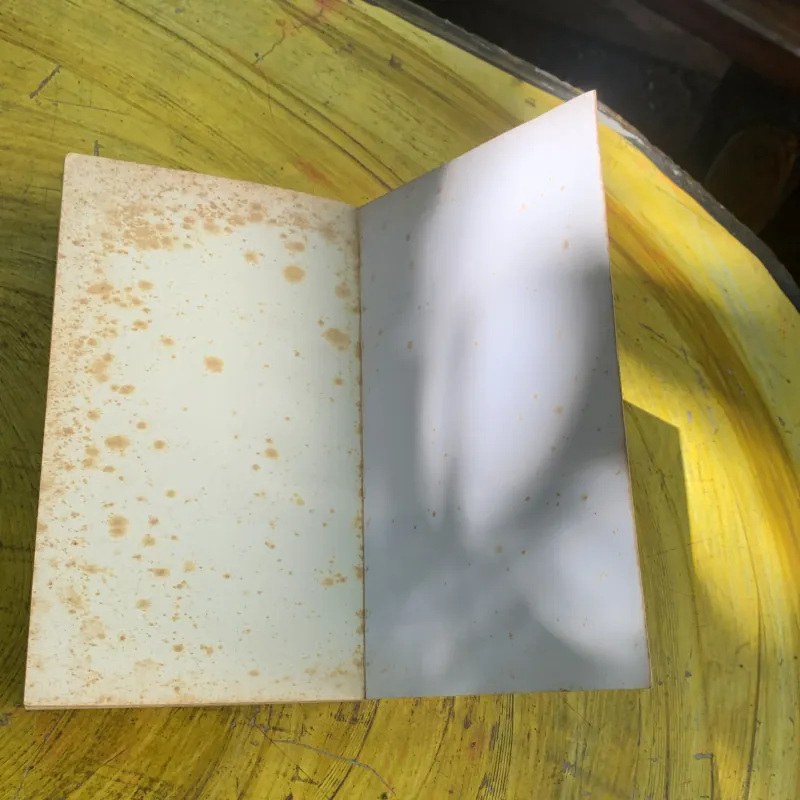 THE 4-HOUR WORK WEEK - TIMOTHY FERRISS  761247