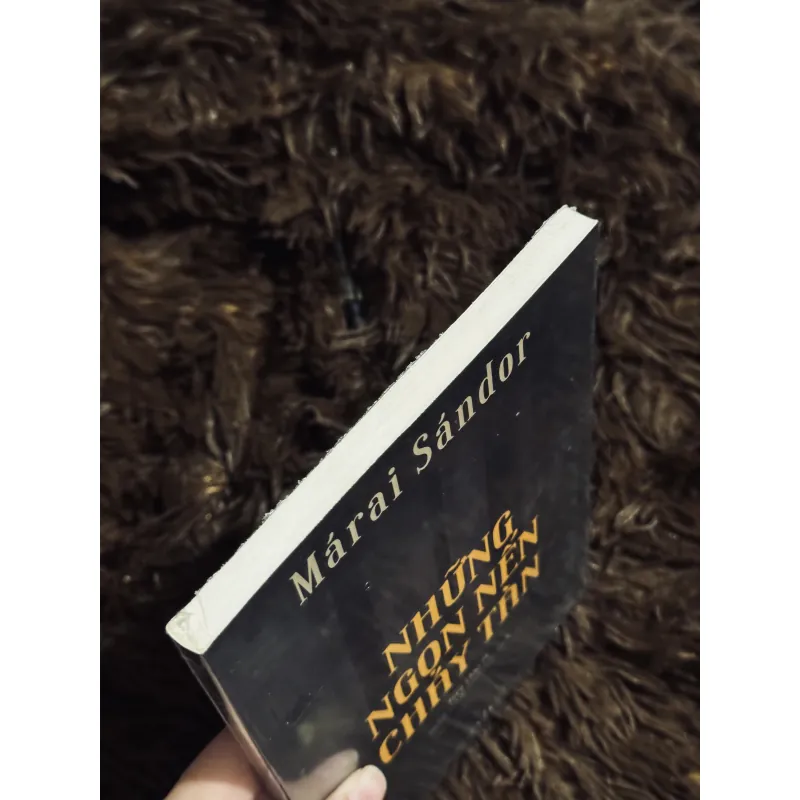 Những ngọn nến cháy tàn (seal) 993239