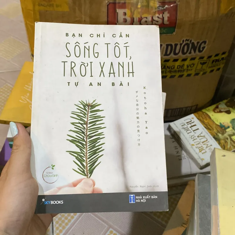 Bạn chỉ cần sống tốt trời xanh tự an bài  929502