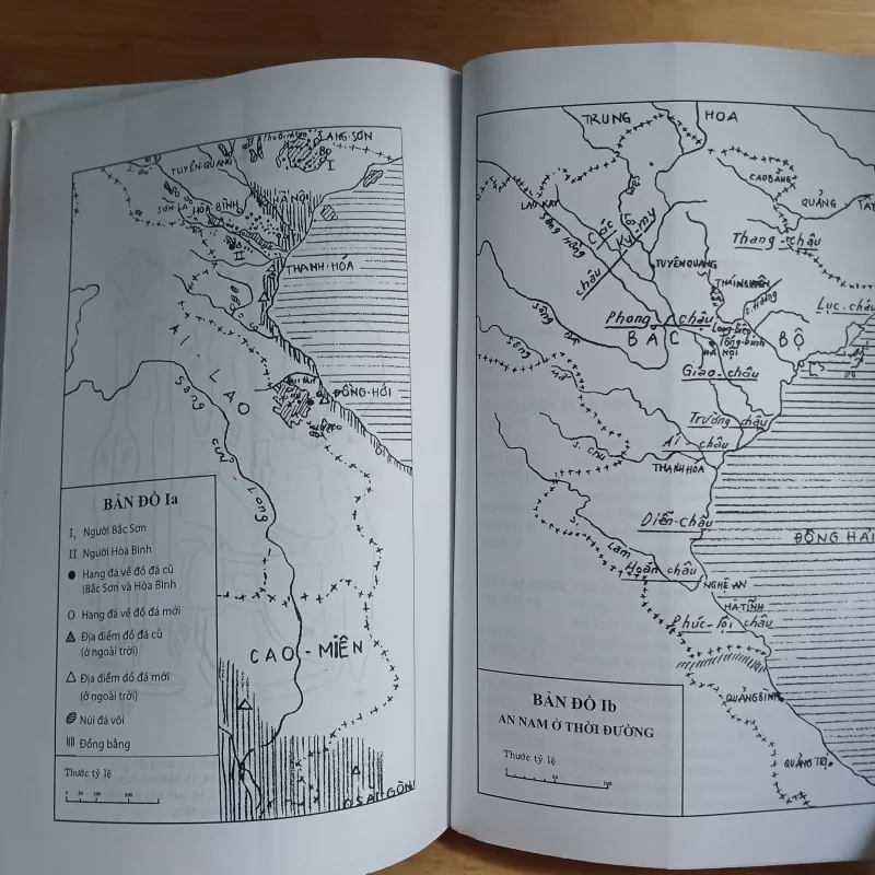 Lịch Sử Việt Nam (Từ Nguồn Gốc Đến Thế Kỷ XIX) - Đào Duy Anh 1030476