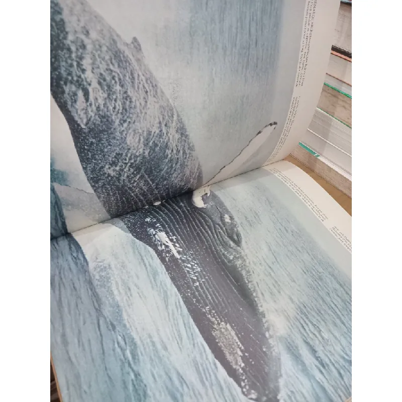 Le comportement animal - Life le monde vivant 711301