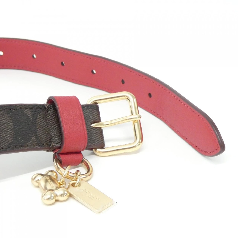 【Mới】Coach CH154 Vòng cổ cho thú cưng 626603