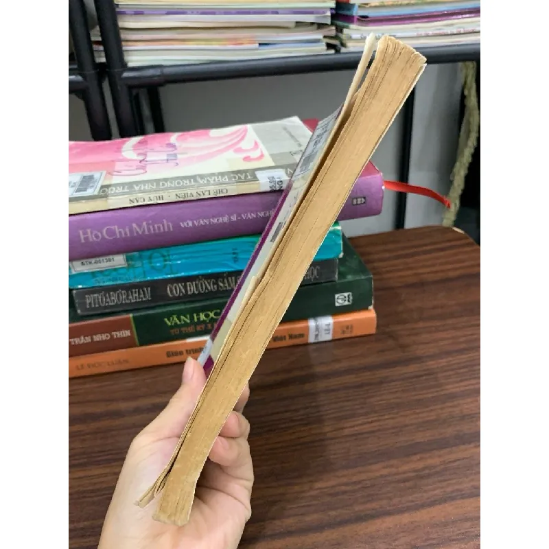Nghĩ về thơ Hồ Xuân Hương – GS Lê Trí Viễn 592544
