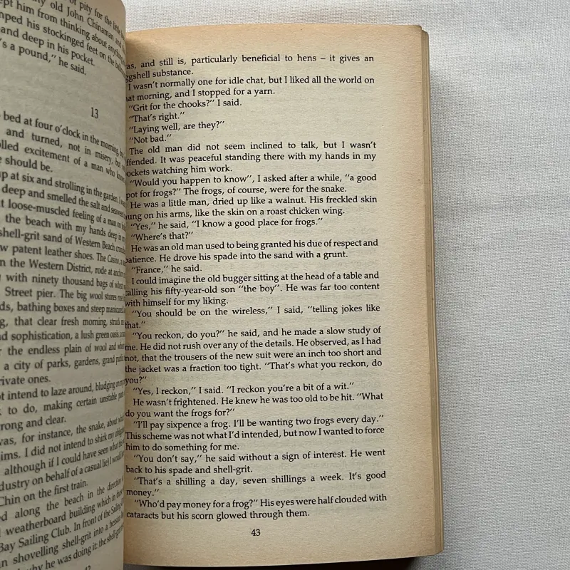 Illywhacker - Peter Carey  784948