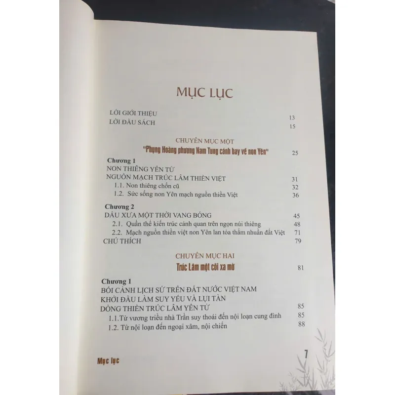 Thiền Tông Việt Nam Trên Con Đường Phục Hưng Và Hoằng Pháp 681690