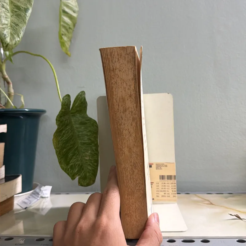 21 LESSONS FOR THE 21ST CENTURY 755633