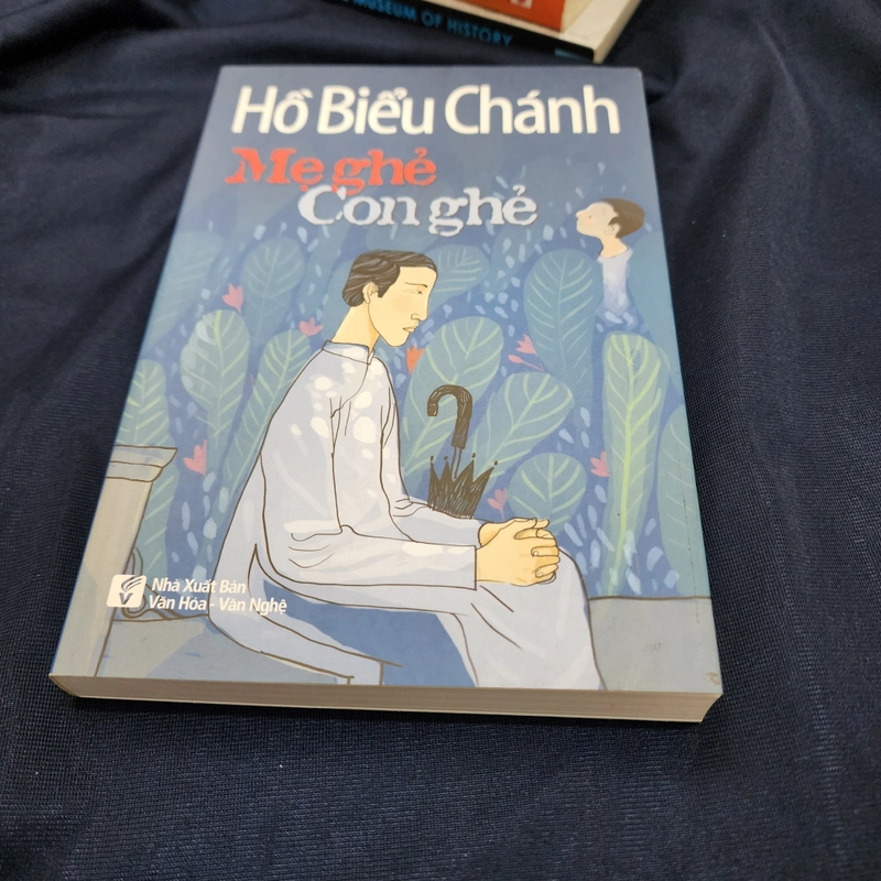 Mẹ ghẻ. Con ghẻ | Hồ Biểu Chánh 476115
