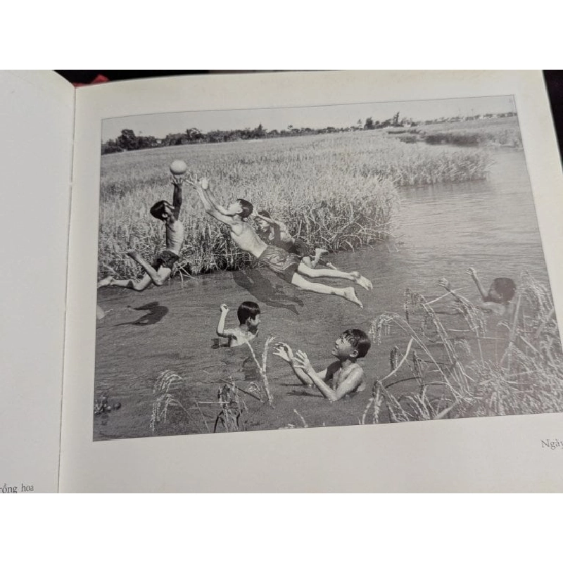 Ảnh nghệ thuật Đăng Quang 698237