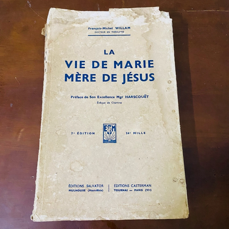 La vie de Marie mère de Jésus  474023