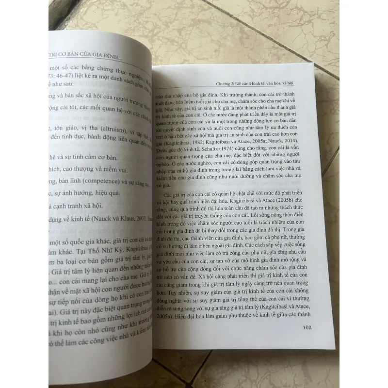 Những giá trị cơ bản của gia đình Việt Nam - Trần Thị Minh Thi 960608