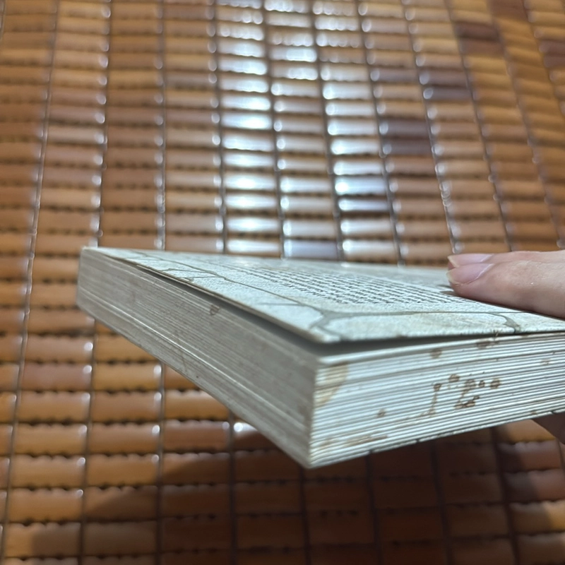 Bản thảo bằng đá - Luis Garcia Jambrina 529559