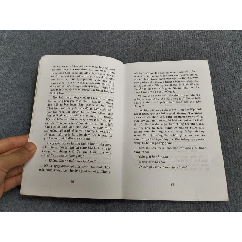 NHÀ SƯ VƯỚNG LỤY 469875