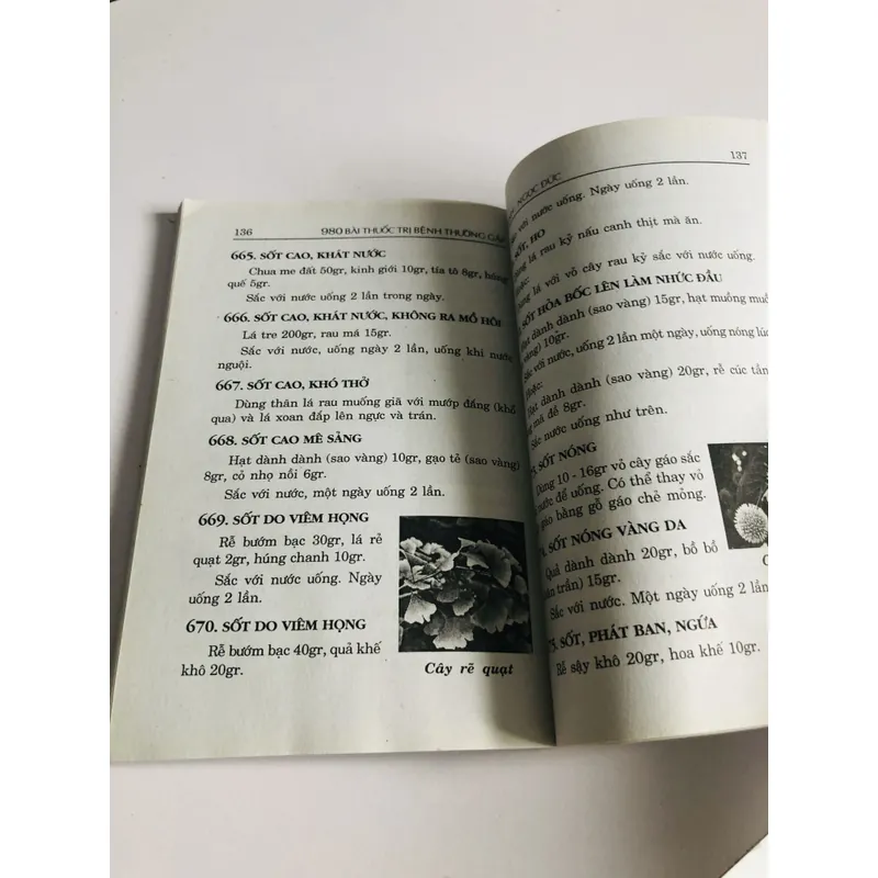 980 BÀI THUỐC TRỊ BỆNH ( Lương Y Quách Văn Nguyên) 693789