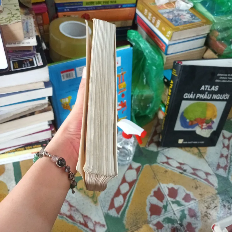 Những Luận Thuyết Nổi Tiếng Thế Giới 1041345
