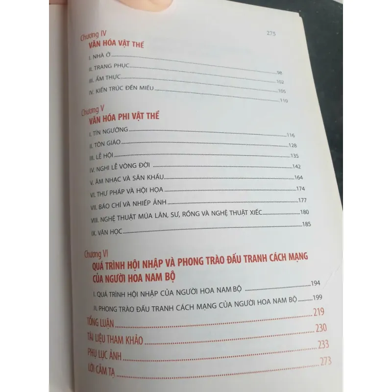 Văn Hóa Người Hoa Nam Bộ 655749