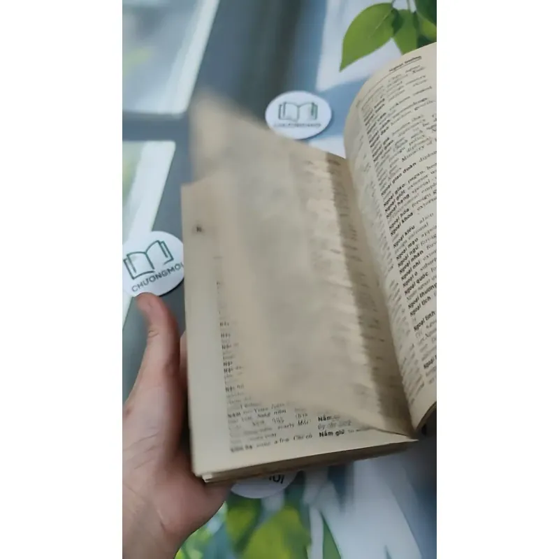 Từ Điển Việt - Anh 1997 727296