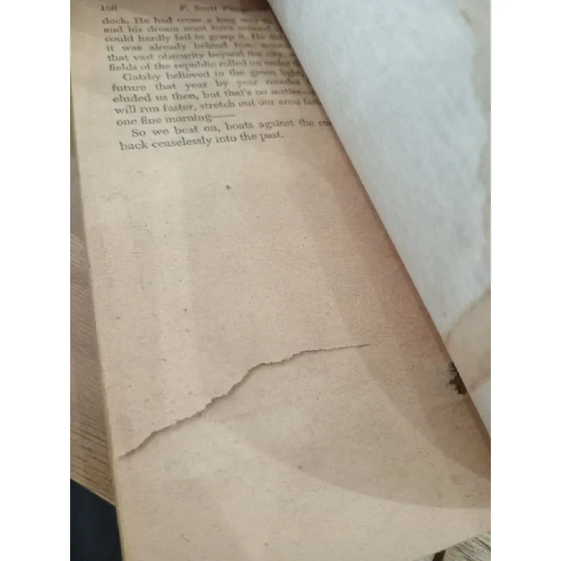 The Great Gatsby - F. Scott Fitzgerald 449047