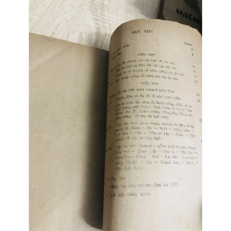 CÂY ĂN TRÁI MIỀN NAM 956916