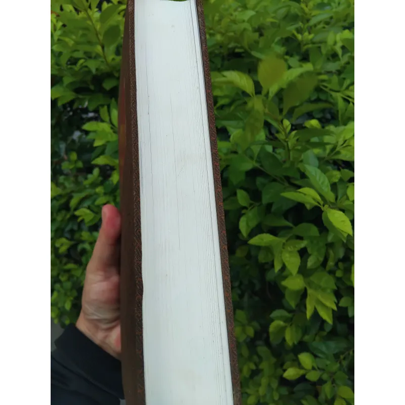 Leonardo Da Vinci của Walter Isaacson 972258