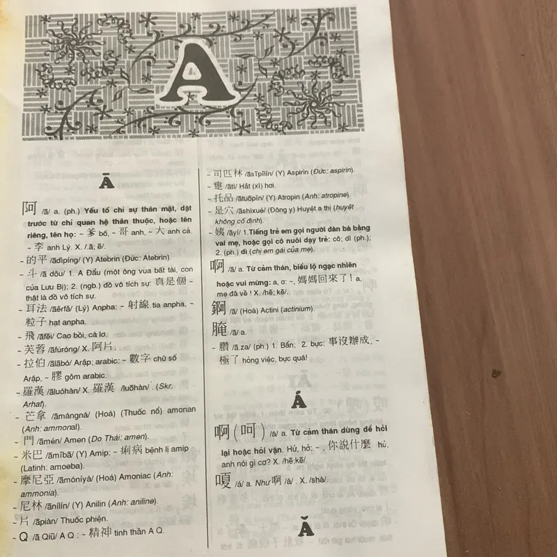 Từ điển Hán Việt hiện đại, chủ biên Nguyễn Kim Thản, in 1994 674053