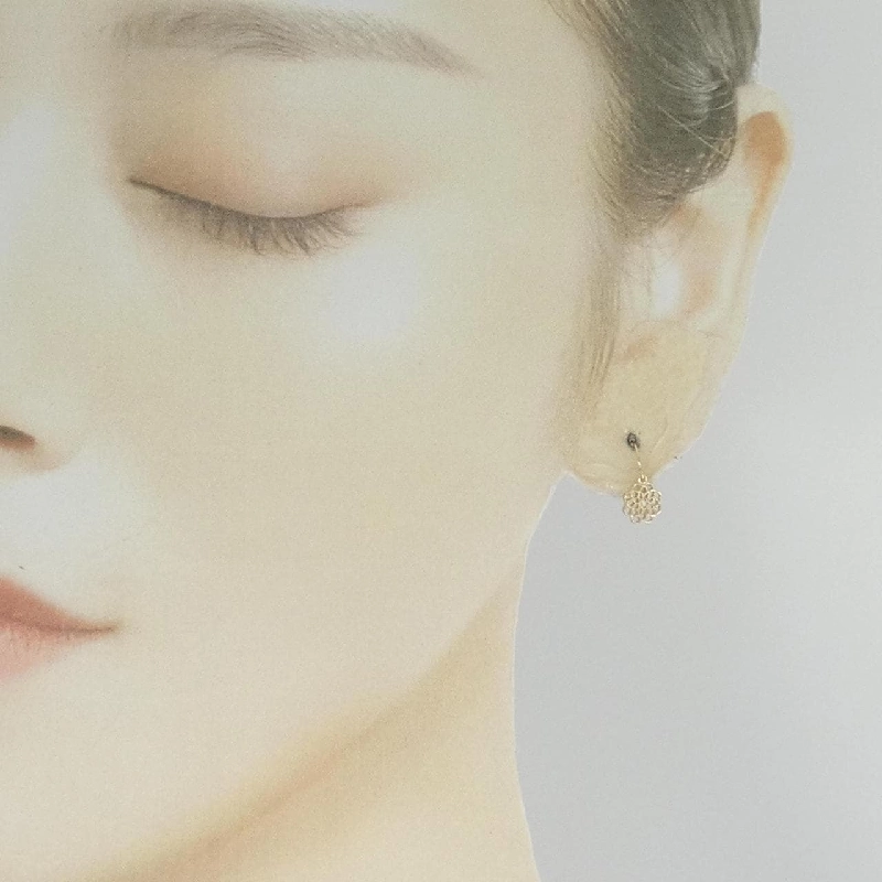 K10YG Bông tai Kim cương - Hàng hiệu Chính hãng 869168