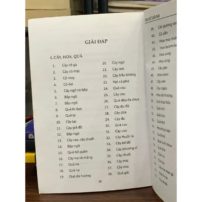 Câu đố tuổi thơ- Lê Thị Lệ Hằng 600620