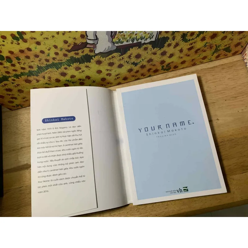 Your Name - Shinkai Makoto 674964