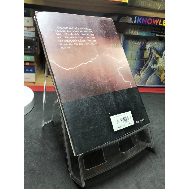Cánh hồng trong bão táp 2004 mới 70% ố bẩn nhẹ Xuân Thành HPB0906 SÁCH VĂN HỌC 451314