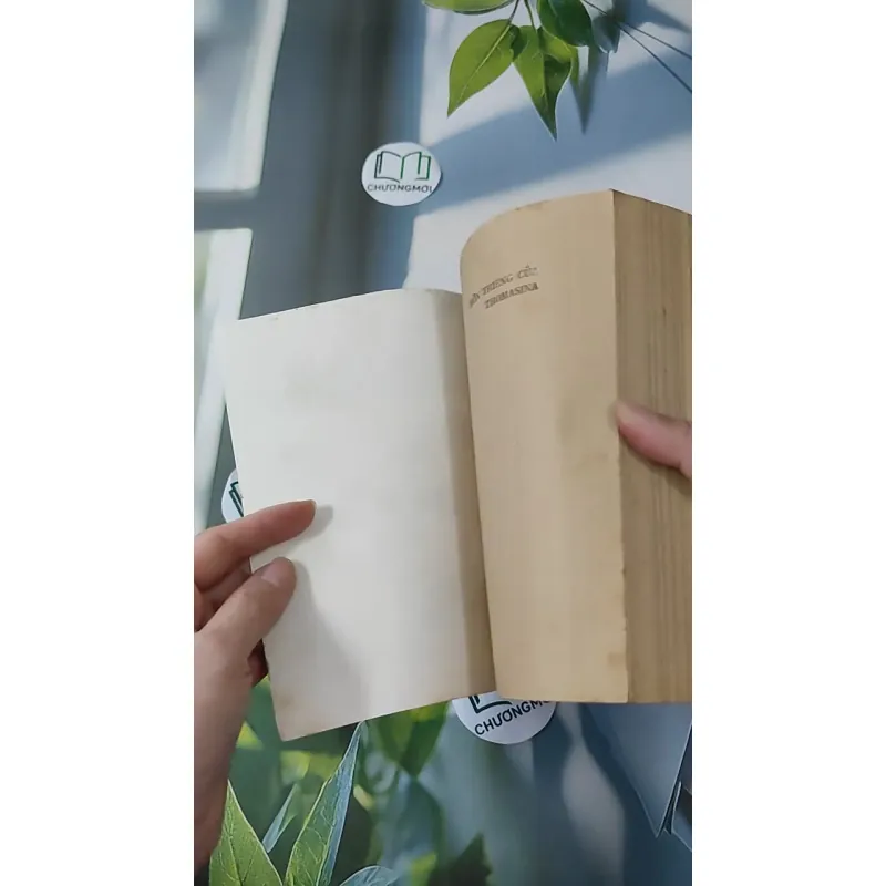 [XƯA] Hồn Thiêng Của Thomasina (1990) - Paul Gallico 997669