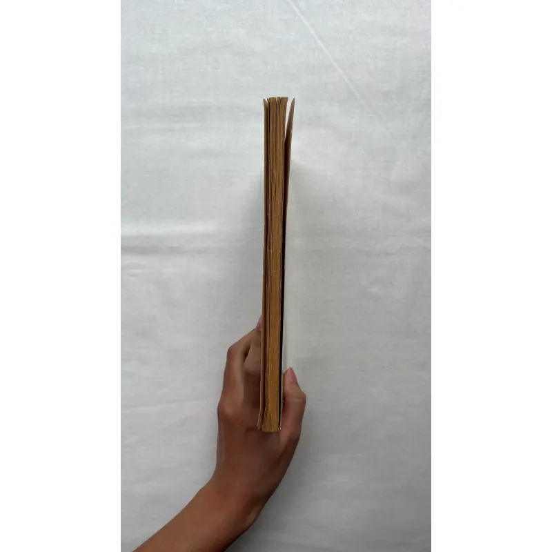 A Fair Wind for Troy - Doris Gates   795401