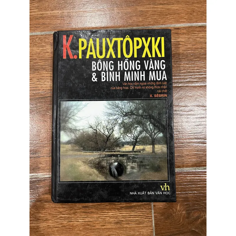 Bông hồng vàng & Bình minh mưa - Pauxtôpxki (10) 1002635