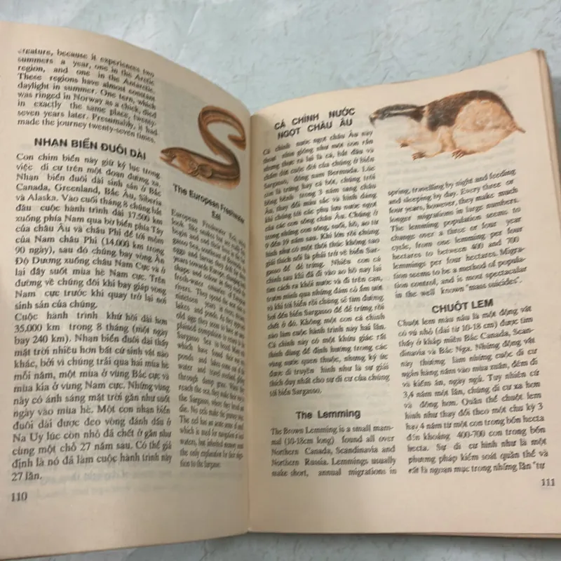 Streamline English Destinations - 1990s 783485