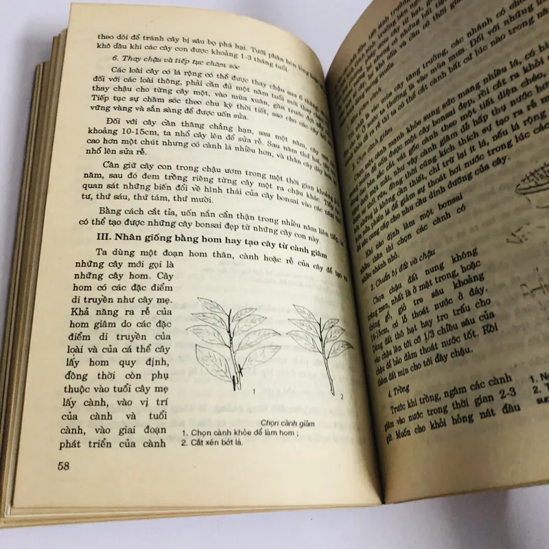 BONSAI - 172 trang, nxb: 1993  703011