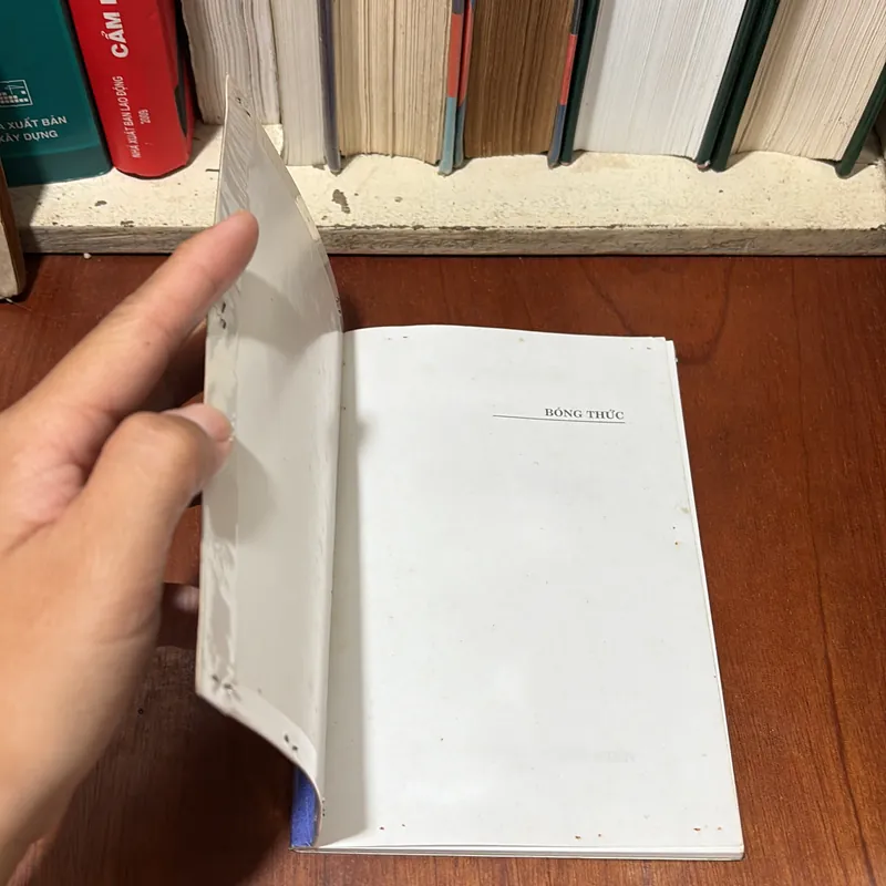 II Thơ: Bóng Thức - Nguyễn Tấn Thái - 2010 722494