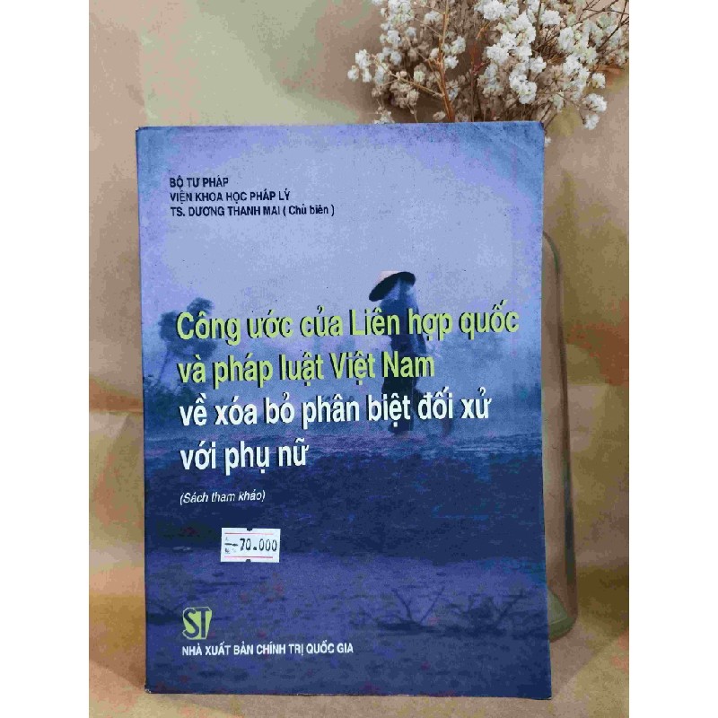 Công ước của Liên Hợp Quốc và pháp luật Việt Nam về xóa bỏ phân biệt đối xử với phụ nữ 127608