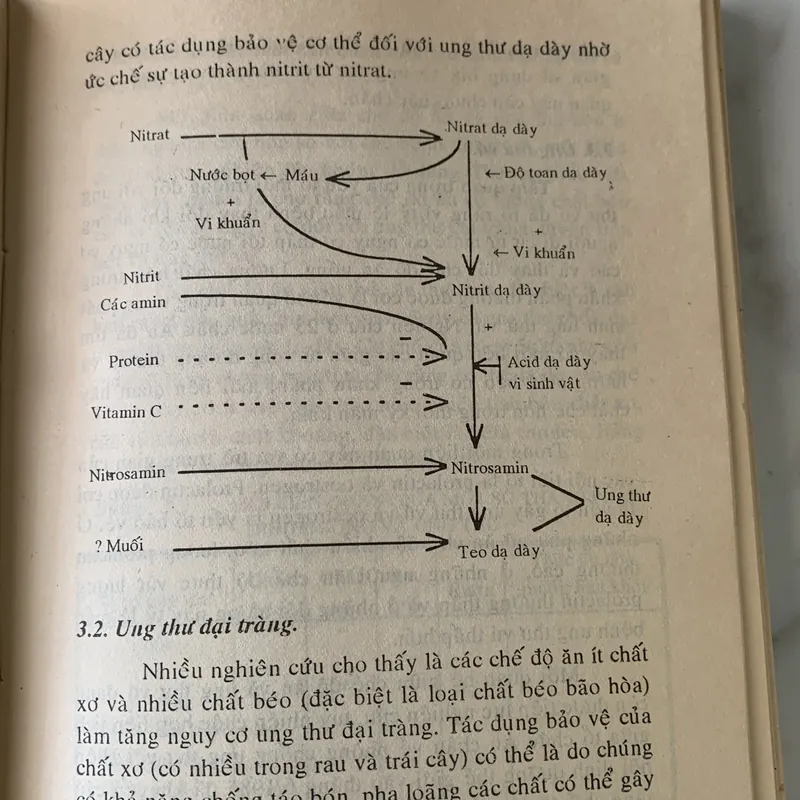 Mấy vấn đề dinh dưỡng trong thời kỳ chuyển tiếp, Hà Huy Khôi 709589