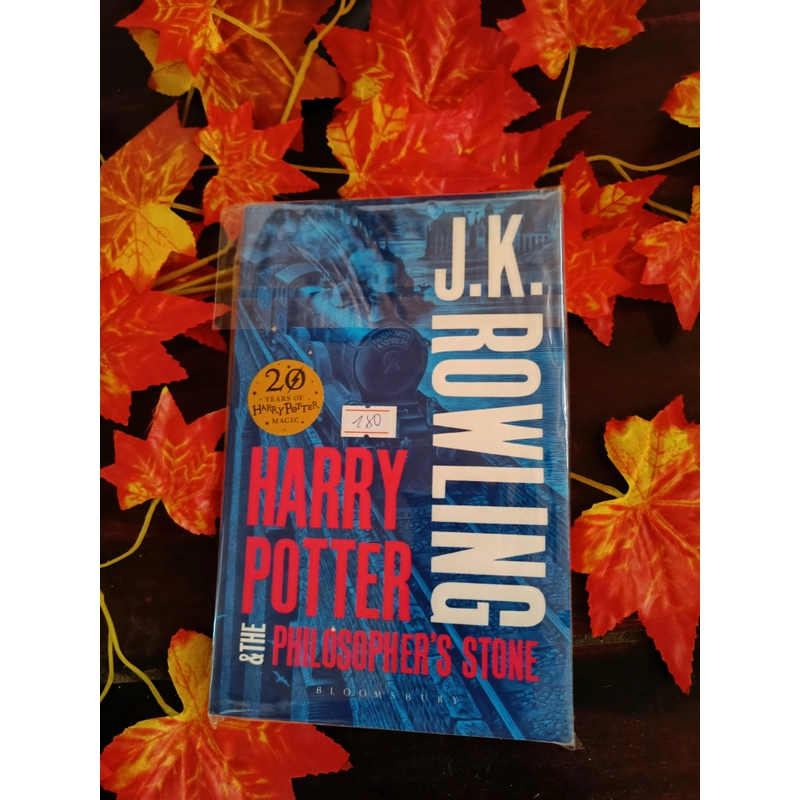 Harry Potter and the Philosopher's Stone paperback adult version  224166