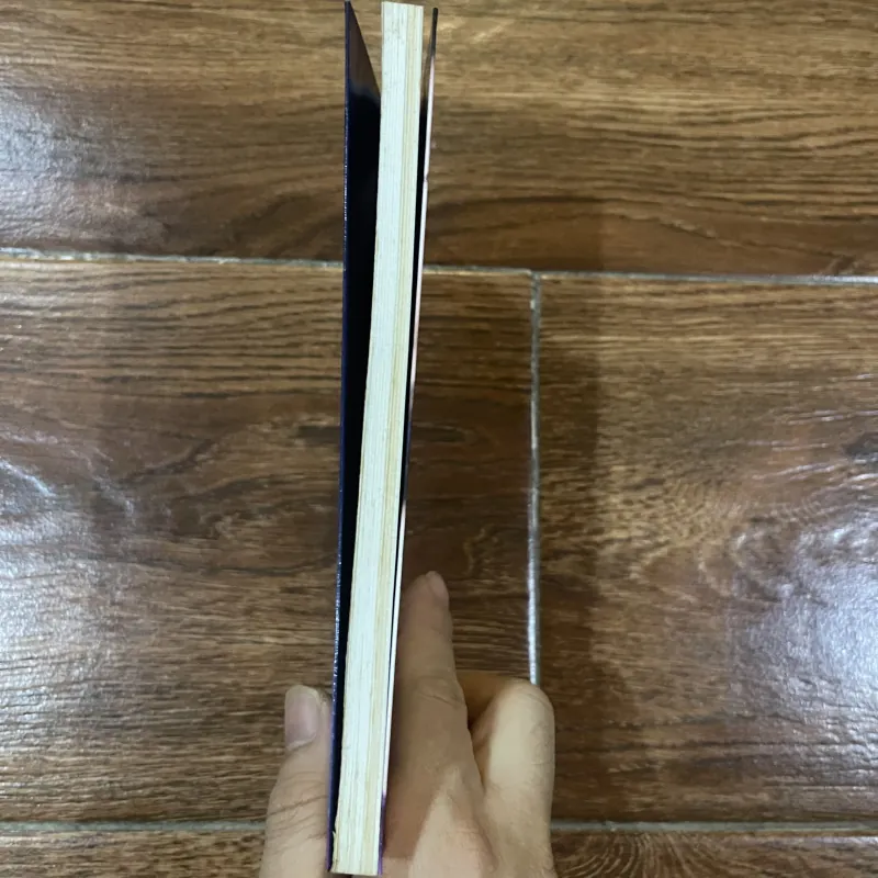 Tiểu long nữ – Nguyễn Huy Thiệp (7) 928067