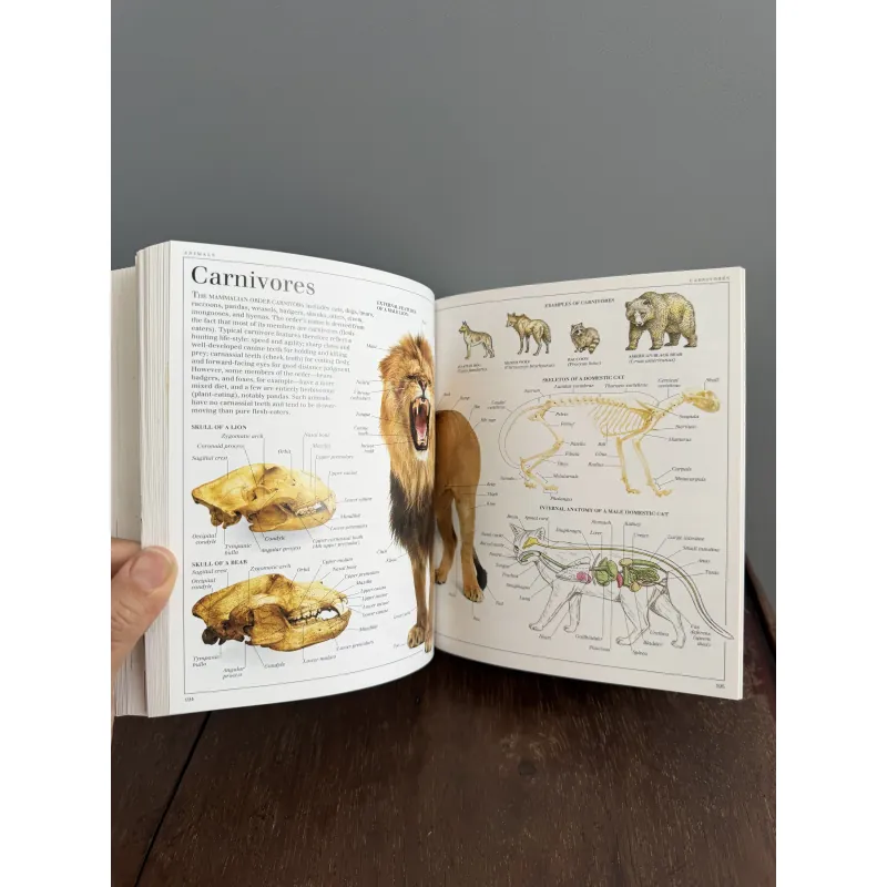 Từ điển màu Pocket visual dictionary mới 99.9% 791726