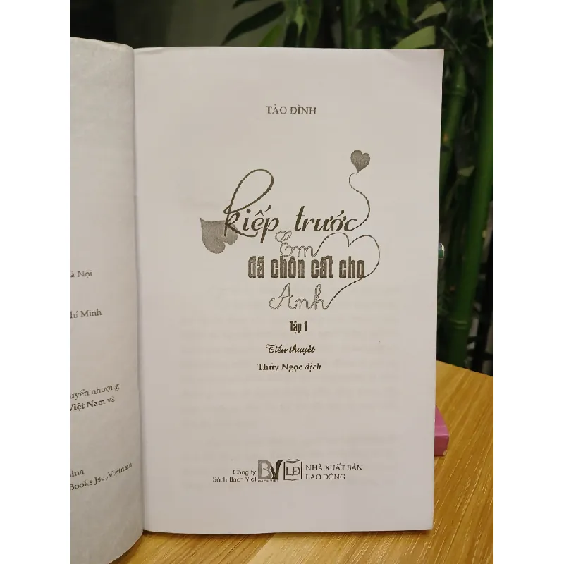 Kiếp trước em đã chọn cất cho anh – Tập 1 – Tào Đình 558504