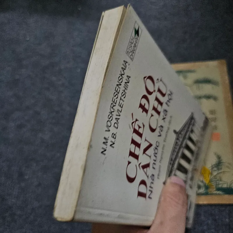 Chế độ dân chủ nhà nước và xã hội - Davletshina 733944