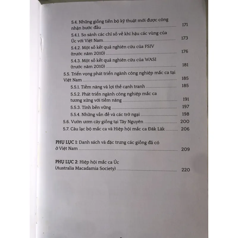 Ngành công nghiệp mắc ca trên thế giới và những bài học cho Việt Nam 654656