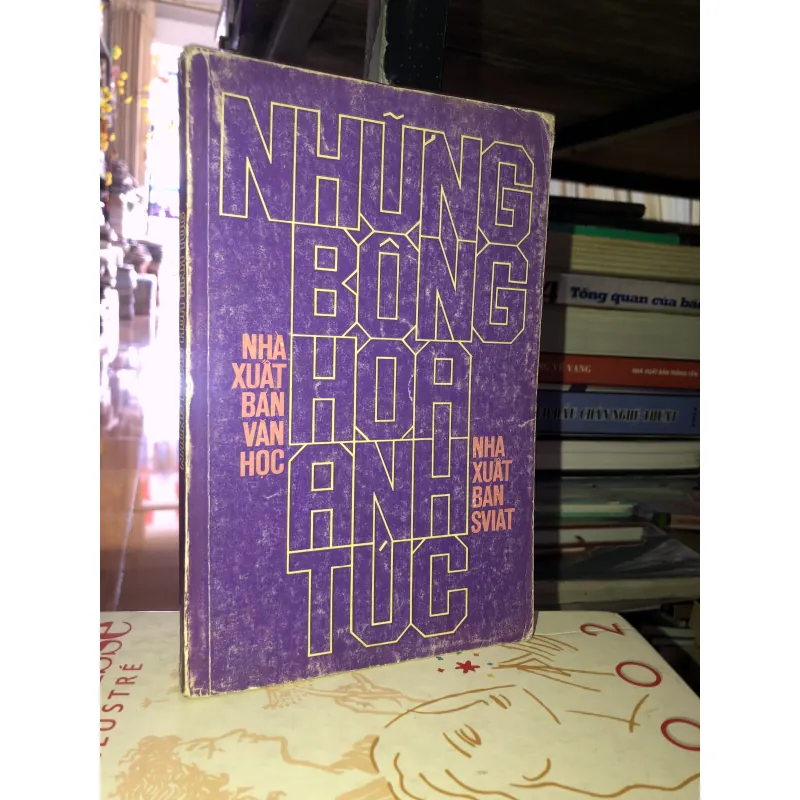 Những bông hoa anh túc 932345