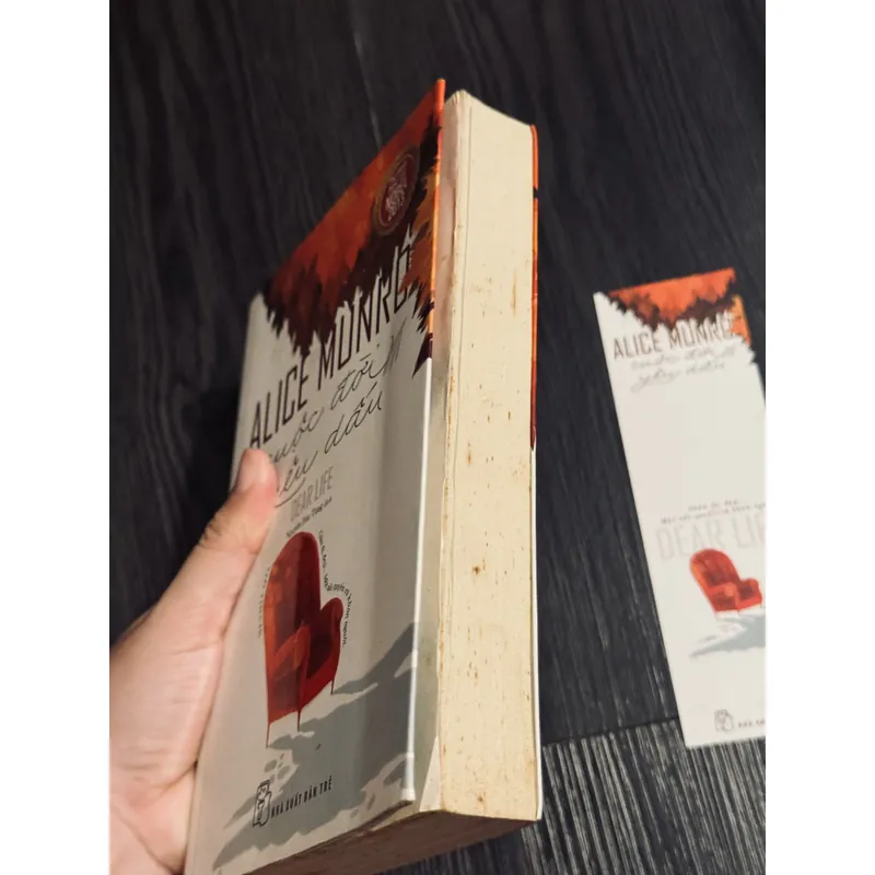 Cuộc đời yêu dấu 592327