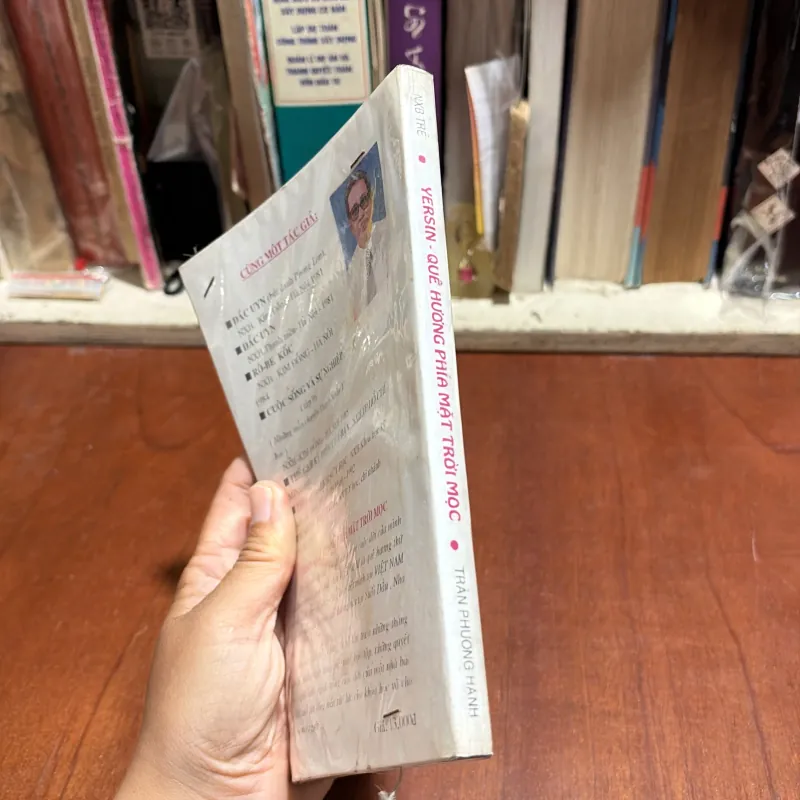 II Tủ Sách Doanh Nhân: Yersin, Quê Hương Phía Mặt Trời - Trần Phương Hạnh - 1996 1012788