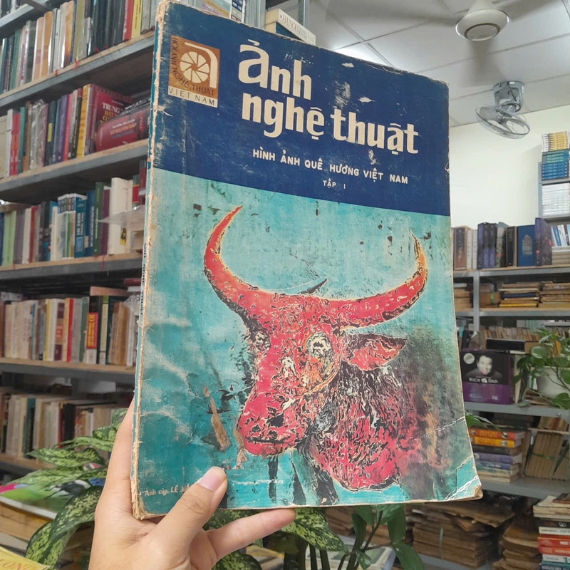 ẢNH NGHỆ THUẬT HÌNH ẢNH QUÊ HƯƠNG VIỆT NAM TẬP I 474373