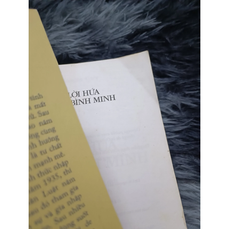 Lời hứa lúc bình minh (Romain Gary) 535002