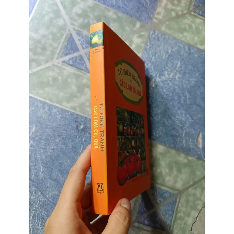 Từ điển tranh về các loại củ, quả 1001158