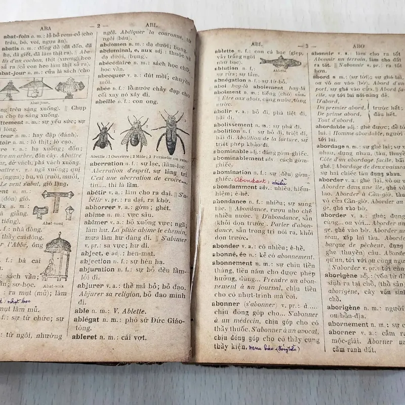 PETIT DICTIONNAIRE FRANCAIS - ANNAMITE
par J.-B.-P TRƯƠNG - VĨNH - KÝ
 1920 562054